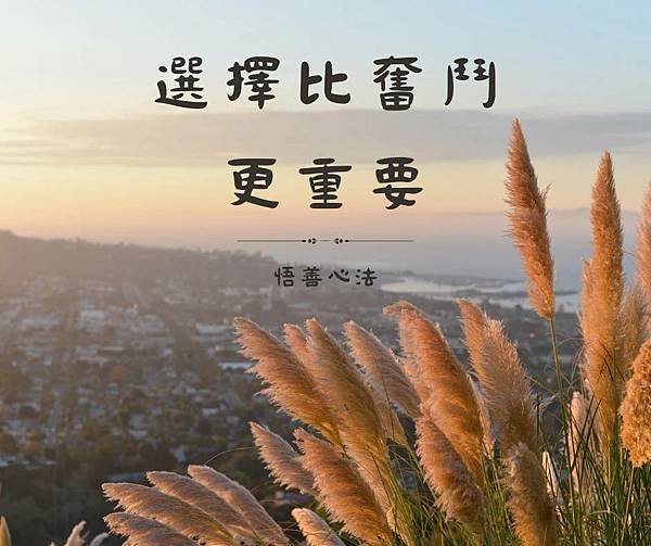 悟善禪師教我們的典故~【陳嬰讓王】