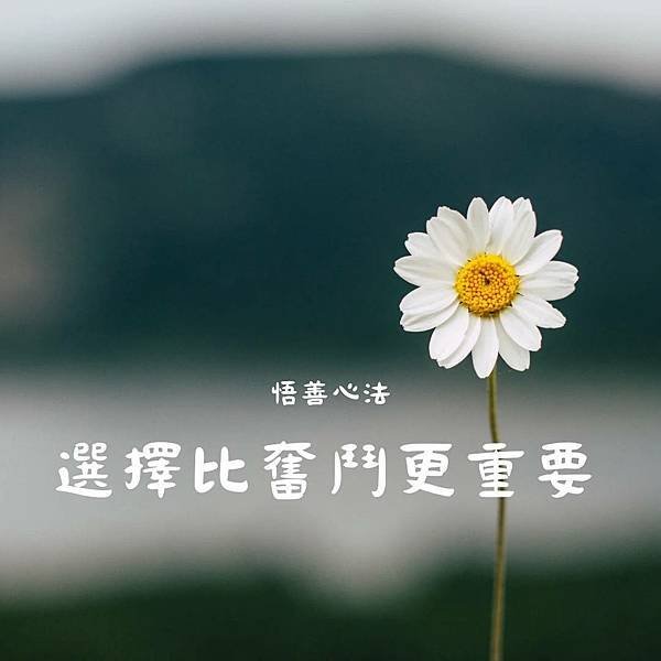 悟善禪師教我們的典故~【夜闖司馬門】
