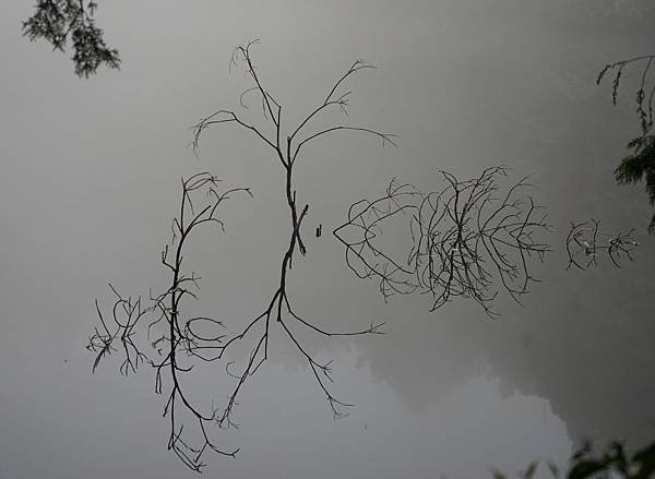 DSC07239給給池.jpg