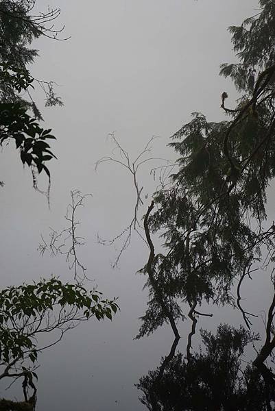 DSC07258給給池.jpg