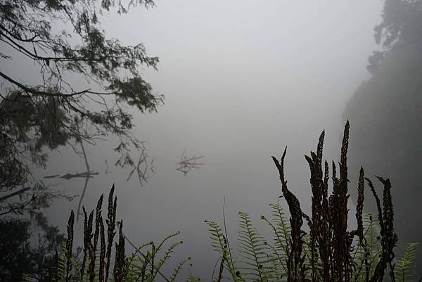 DSC07281給給池.jpg