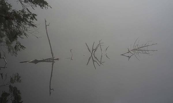 DSC07266給給池.jpg