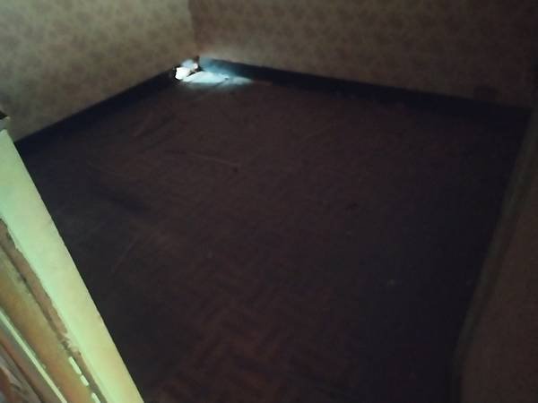 IMG_20210107_101907.jpg
