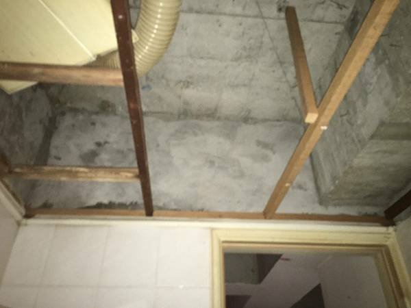 S__5718051.jpg