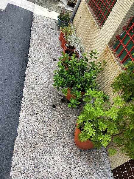 IMG20180905131133_1.jpg