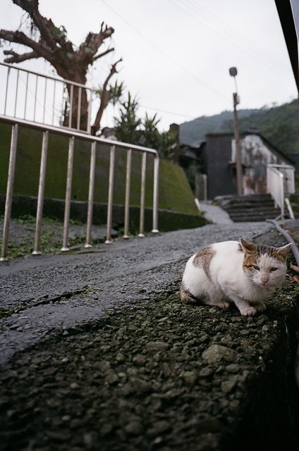 侯硐2009 (14).jpg