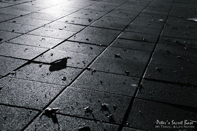 台北的日日 (12)