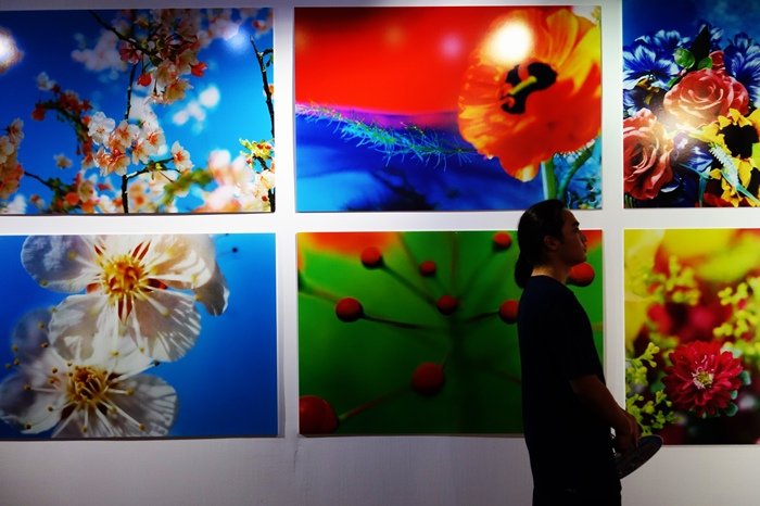 蜷川實花展 (6).jpg
