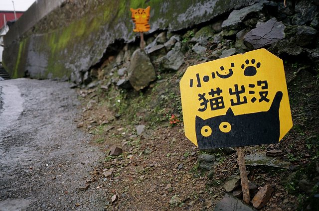 侯硐2009 (17).jpg
