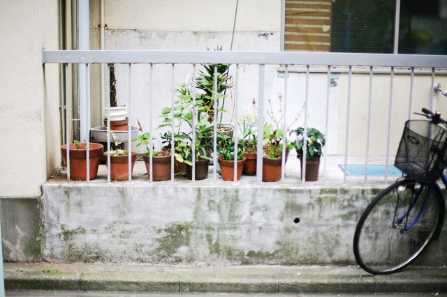 人形町 (16).jpg