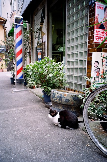 人形町 (9).jpg