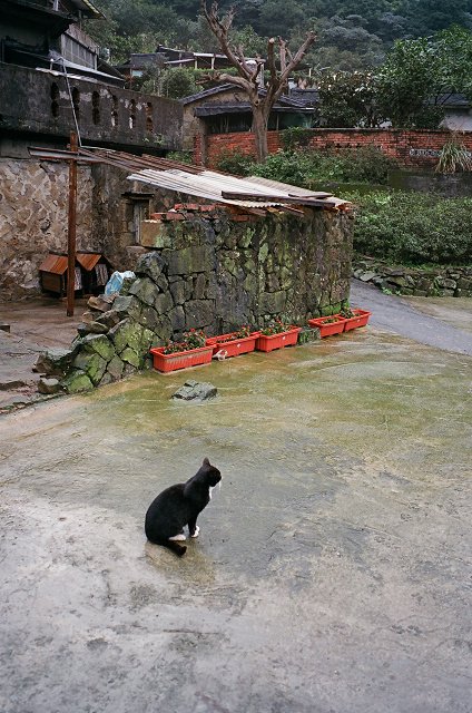 侯硐2009 (11).jpg