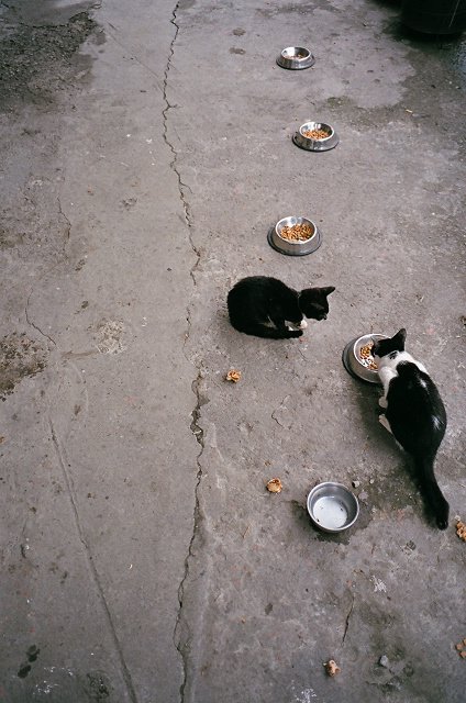 侯硐2009 (5).jpg