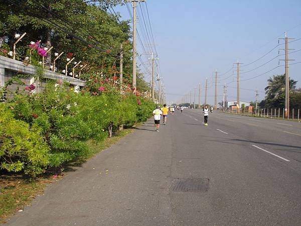 DSC03390