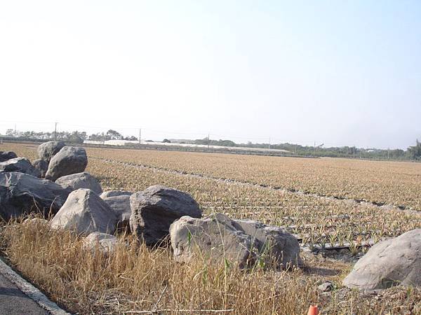 2014屏東高樹蜜鄉國際馬拉松 (28).JPG