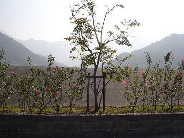 2014屏東高樹蜜鄉國際馬拉松 (36).JPG