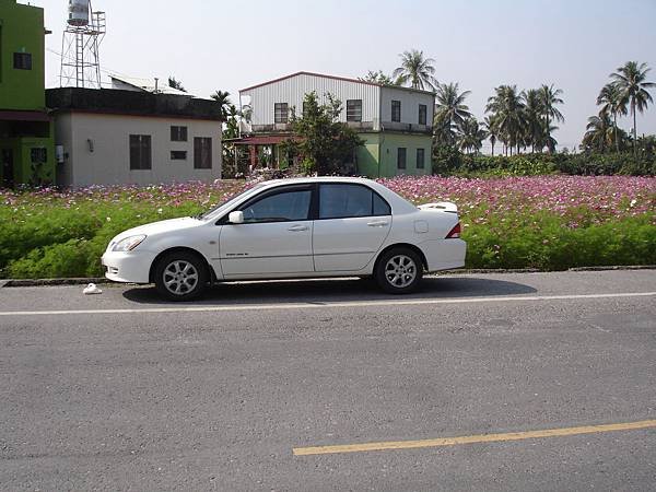2014屏東高樹蜜鄉國際馬拉松 (55).JPG
