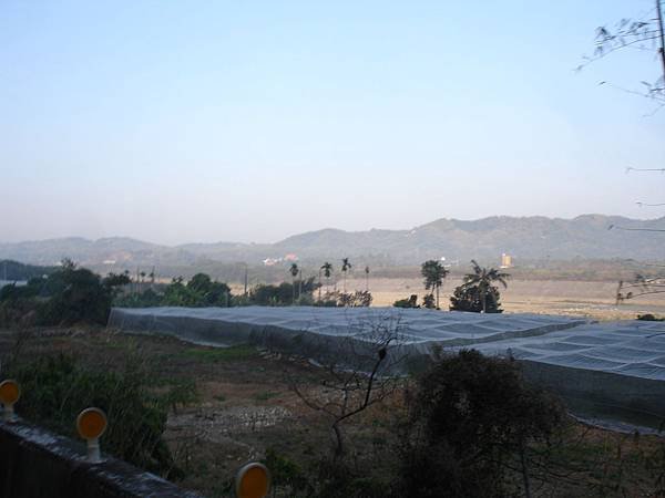 2014旗山天后宮旗鼓相當報馬盃全國馬拉松 (11).JPG