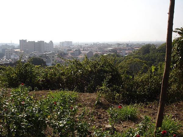 2014旗山天后宮旗鼓相當報馬盃全國馬拉松 (29).JPG