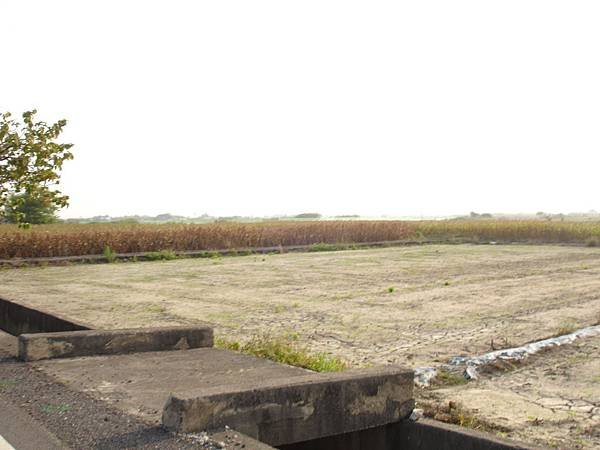 DSC04503.JPG