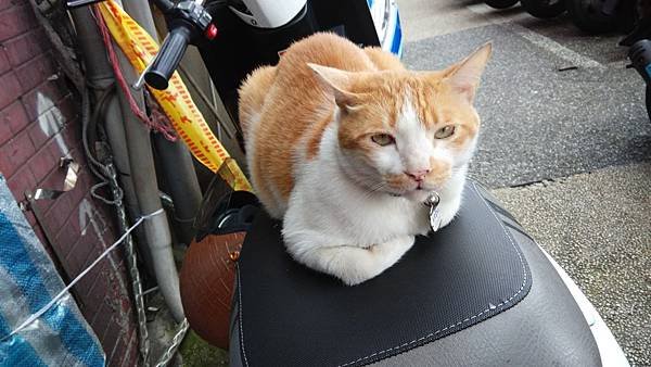IMG_20140613_152730.jpg