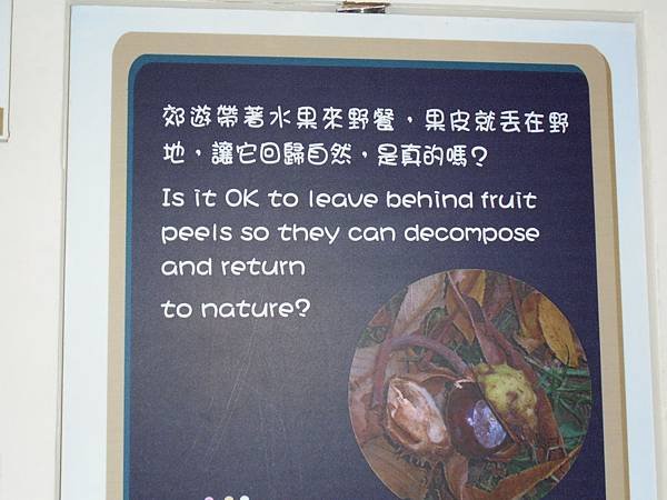 塔塔加 (5).JPG