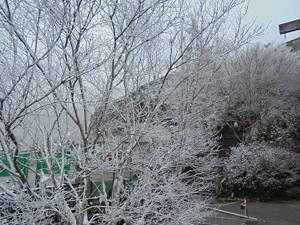 20150209太平山莊 (17).JPG