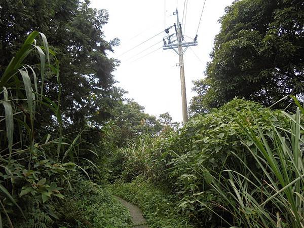 20150719北大武山 (33).JPG