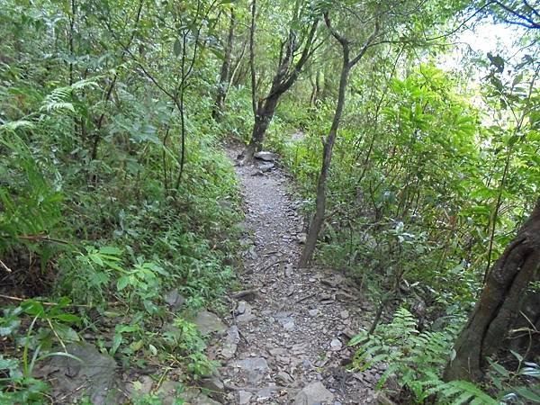20150719北大武山 (42).JPG