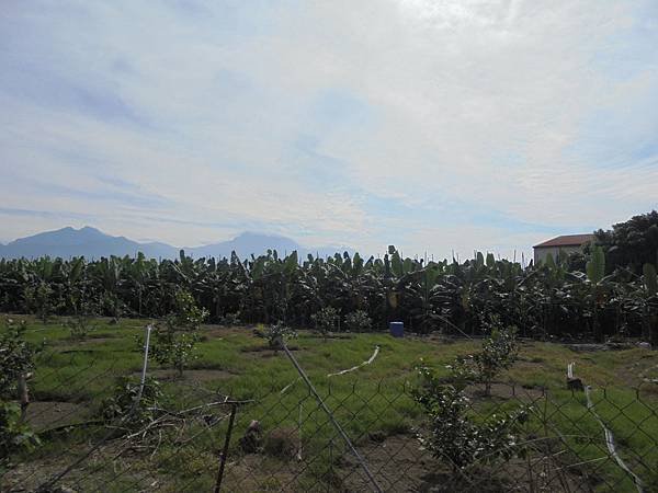 20160110高雄蜜鄉馬拉松 (49).JPG