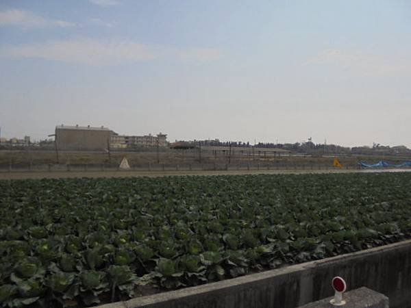 DSC03272.JPG