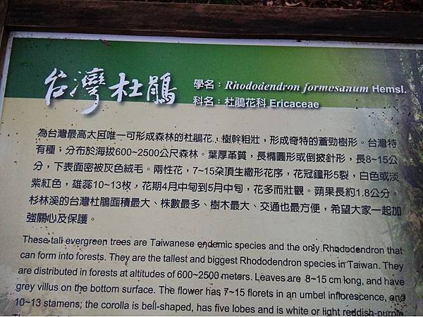 20160903日月潭泳渡 (13).jpg