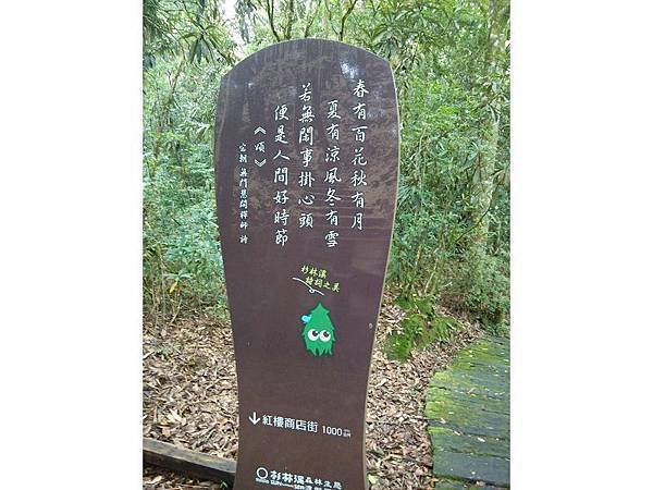 20160903日月潭泳渡 (19).jpg