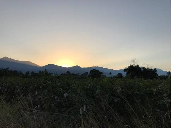 20180114高樹馬 (8).jpg