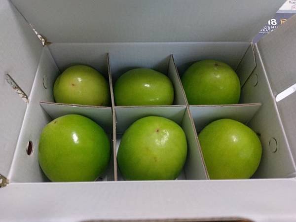 20180114高樹馬 (10).jpg