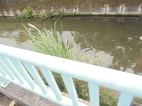 DSC06047.JPG