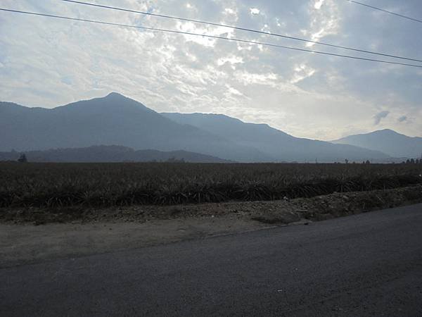 DSC06233.JPG