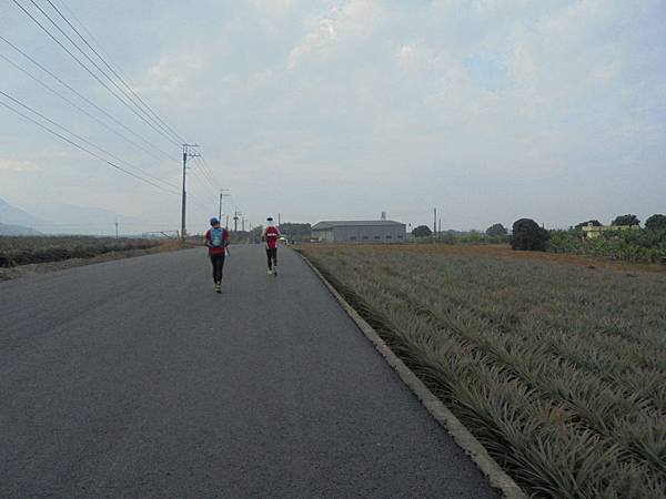 DSC06234.JPG