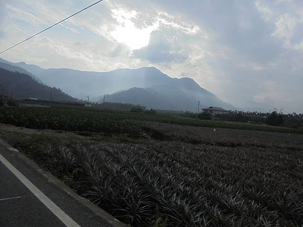 DSC06239.JPG