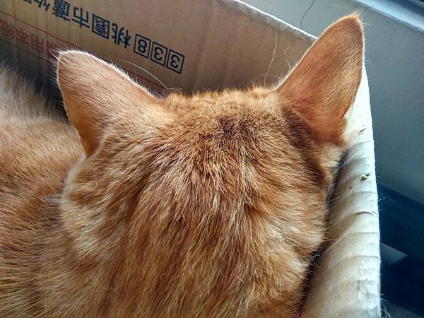 IMG_20190202_145059_HDR.jpg