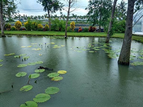IMG_20200815_135231_HDR.jpg