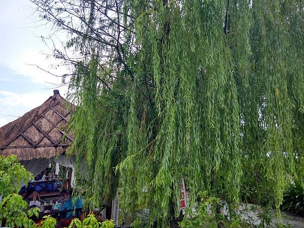 IMG_20200815_141427_HDR.jpg