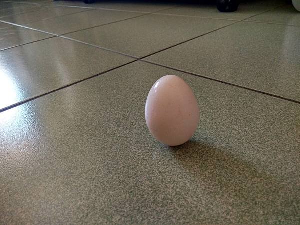 IMG_20210614_120057_HDR.jpg
