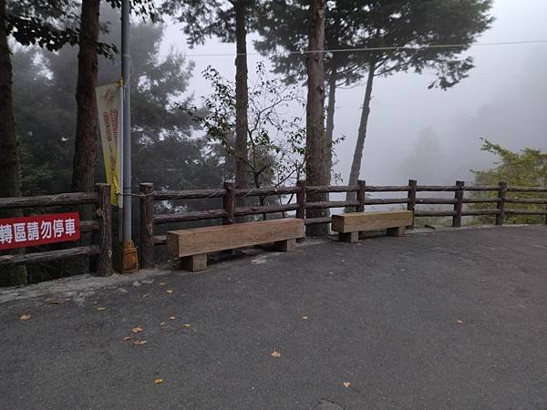 IMG_20211002_173126.jpg