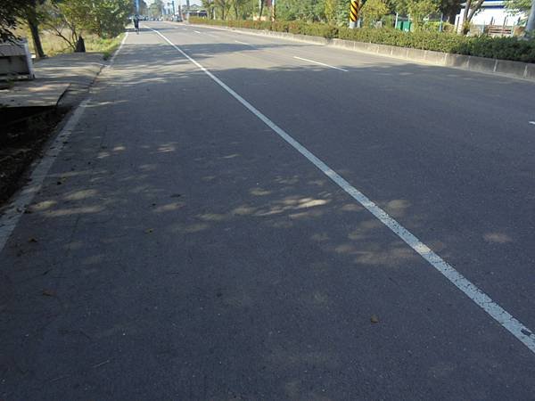 DSC08374.JPG