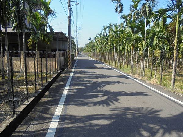 DSC08385.JPG