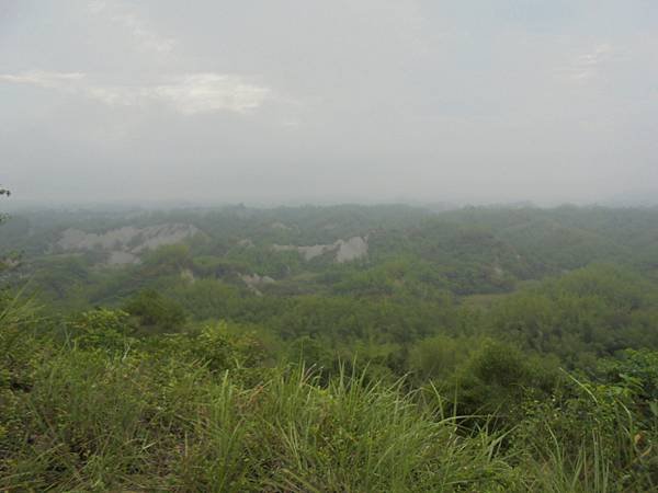 DSC08535.JPG