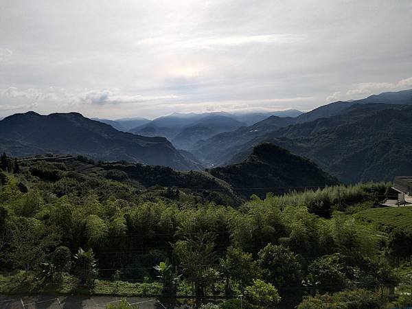 IMG_20220716_080152.jpg