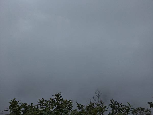 IMG_20220919_104949.jpg