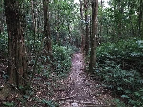 IMG_20220919_111656.jpg